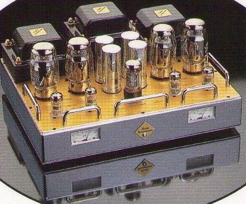 http://www.tiger2000.it/news/ampli%20eleg.jpg